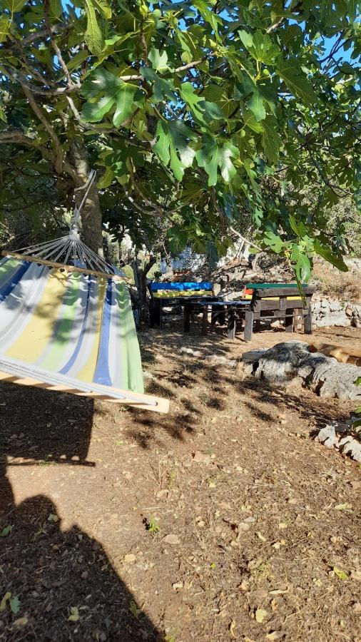 Apartman Dida Jakov Primošten Esterno foto