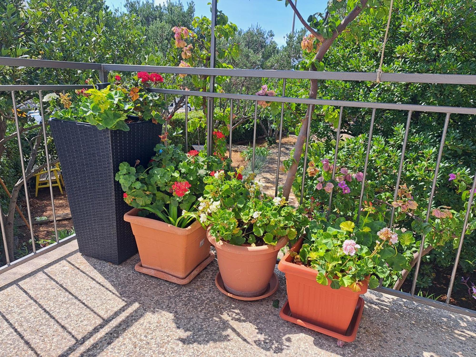 Apartman Dida Jakov Primošten Esterno foto