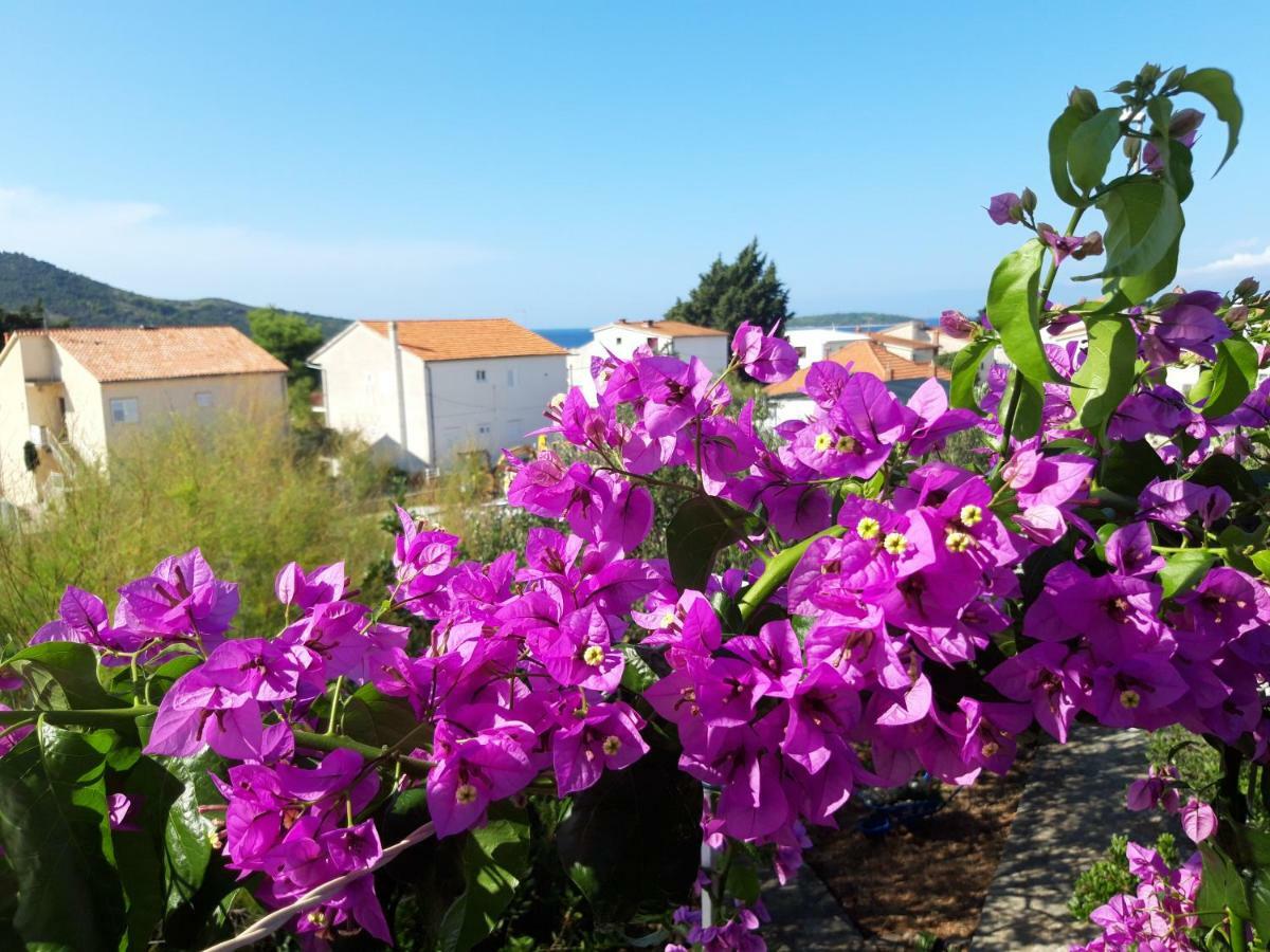 Apartman Dida Jakov Primošten Esterno foto